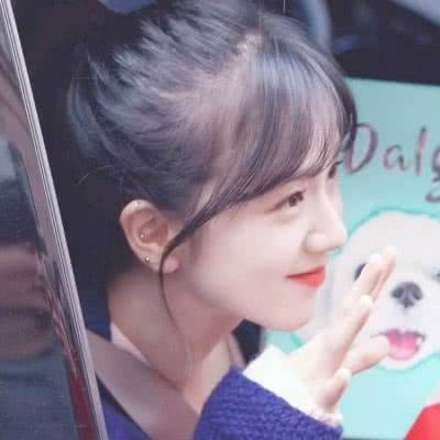 加拿大pc入口app下载